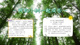 我和小树一起成长手抄报
