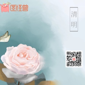 杏色卡通清明节气手机微博封面