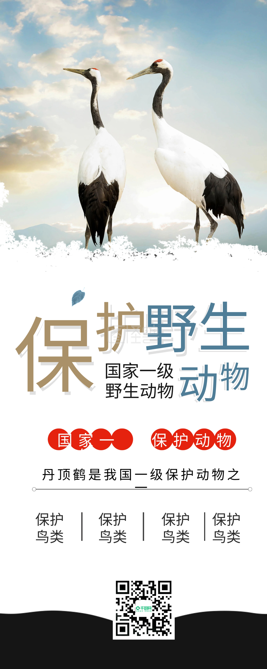 保护野生动物丹顶鹤公益展架易拉宝