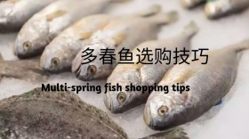 新鲜水产鱼肉鱼鲜嫩多春公众号封面模版