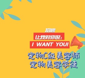 宠物可爱动物招聘诚聘朋友圈封面
