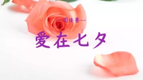 七夕情人节文艺清新红包公众号封面