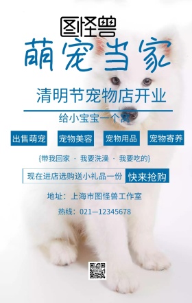 清明节宠物宣传海报