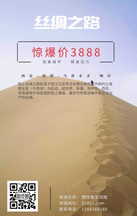 骆驼 沙漠 丝绸之路 