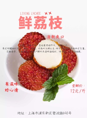 粉色小清新简约荔枝产品介绍宣传海报模版