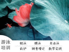 游泳培训营创意简约公众号配图