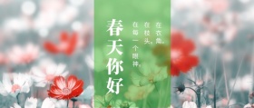 春天你好 在枝头。 在衣角。 在每一个眼神。 春季春天你好公众号封面