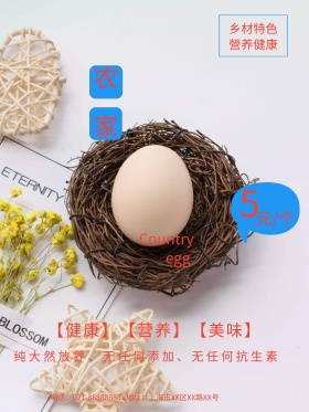 简约商务乡村农家土鸡蛋海报