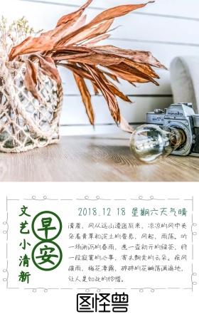 卡通手绘小动物鸡汤日签可爱