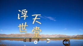 浮世天堂公众号封面