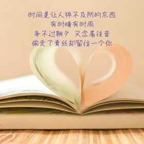 淡雅简约风公众号配图