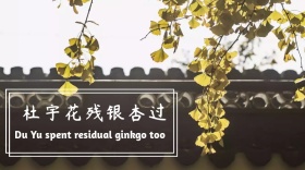 银杏黄色树叶树枝公众号封面模版