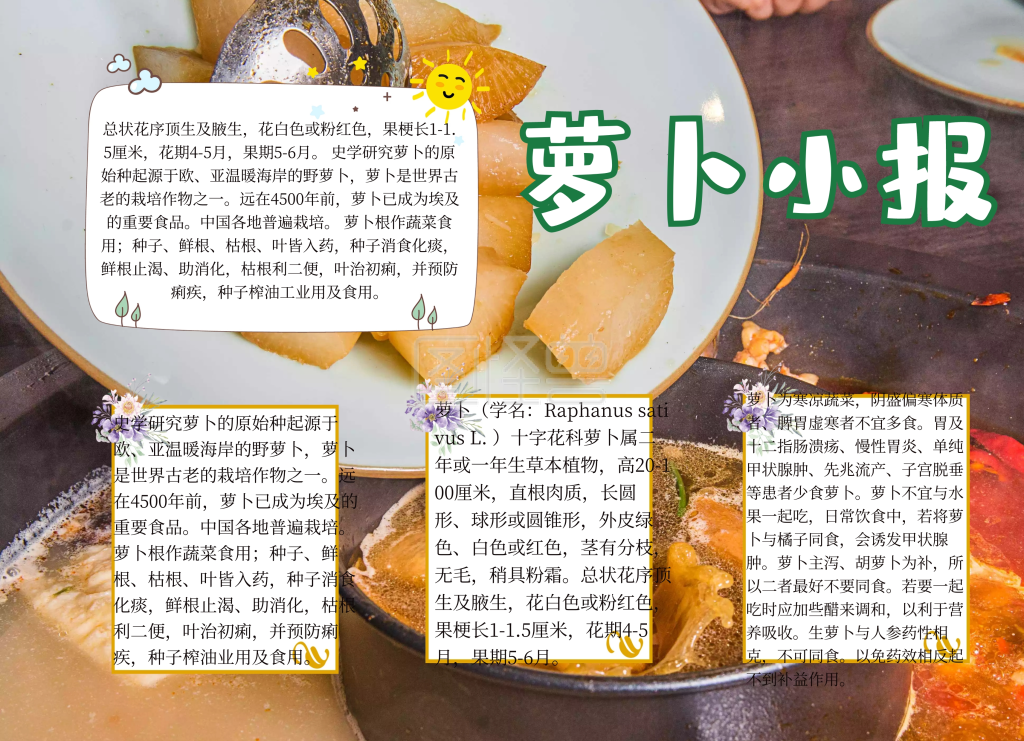 萝卜插画宣传手抄小报