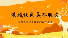 秋天红包公众号封面