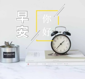 你好早安白玫瑰背景朋友圈封面