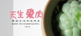 清新绿植盆栽桌面宠物多肉天生爱肉特卖优惠淘宝banner电商海报