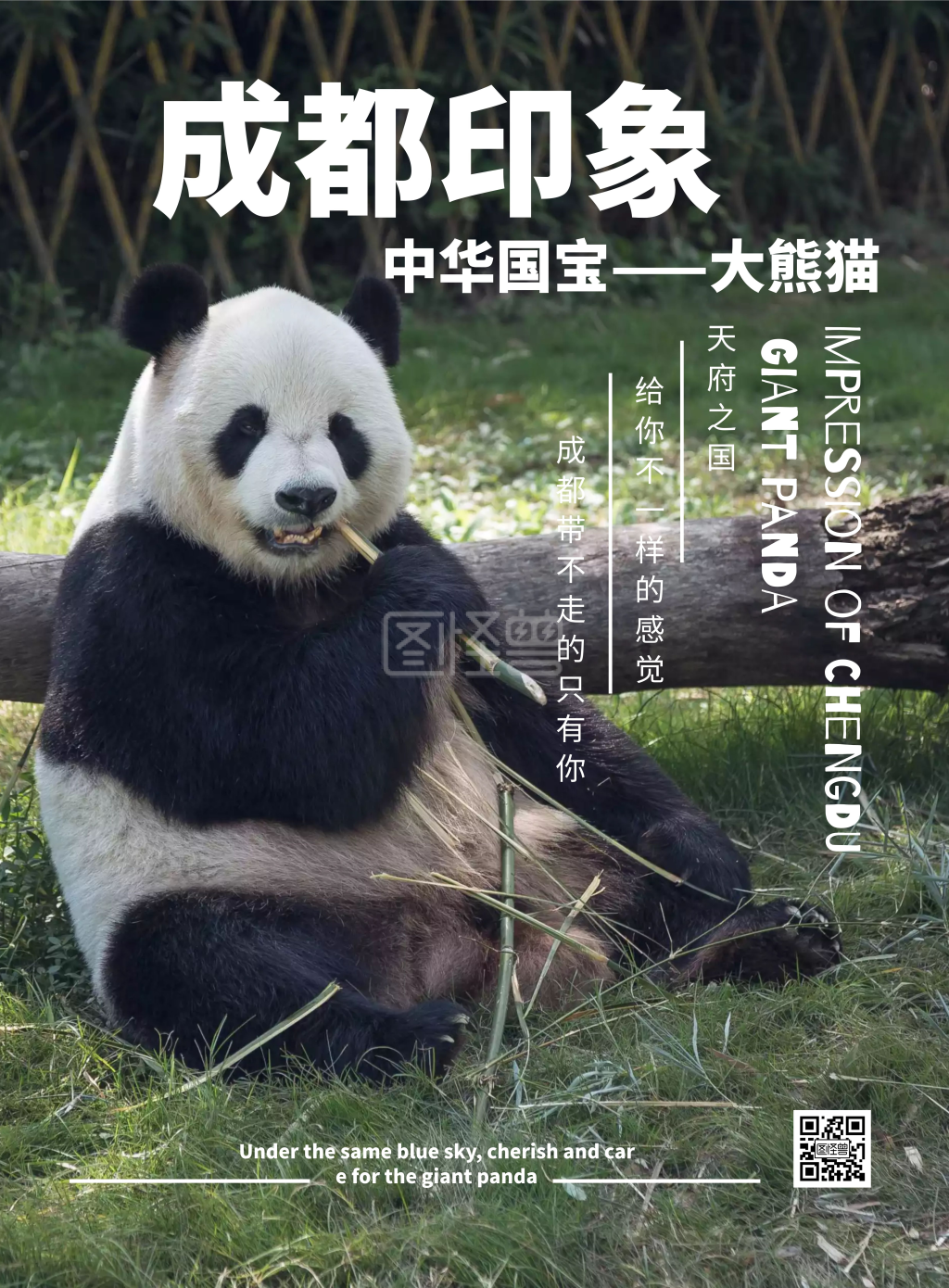 2020摄影成都印象大熊猫海报