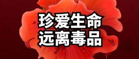 通用公众号封面