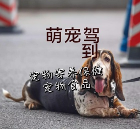 萌宠宠物可爱动物朋友圈封面