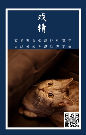 戏精 家里有条会演戏的猫咪 生活处处充满欢声笑语 卡通宠物猫之日可爱手机海报