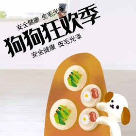 简约大气风格狗狗食品狗粮直通车主图模板