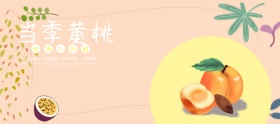 当季水果黄桃新鲜上市banner