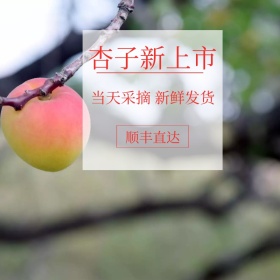杏子淘宝水果摄影主图直通车