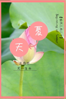 夏天粉色荷花公众号配图