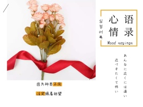 心情语录简约白色猫咪金鱼横版配图