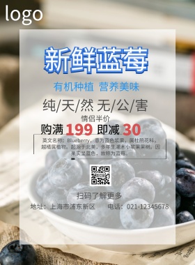 鲜美蓝莓海报