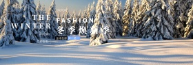 银灰雪地雪花冬季焕新季淘宝天猫电商海报