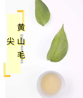 茶叶海报包装封面