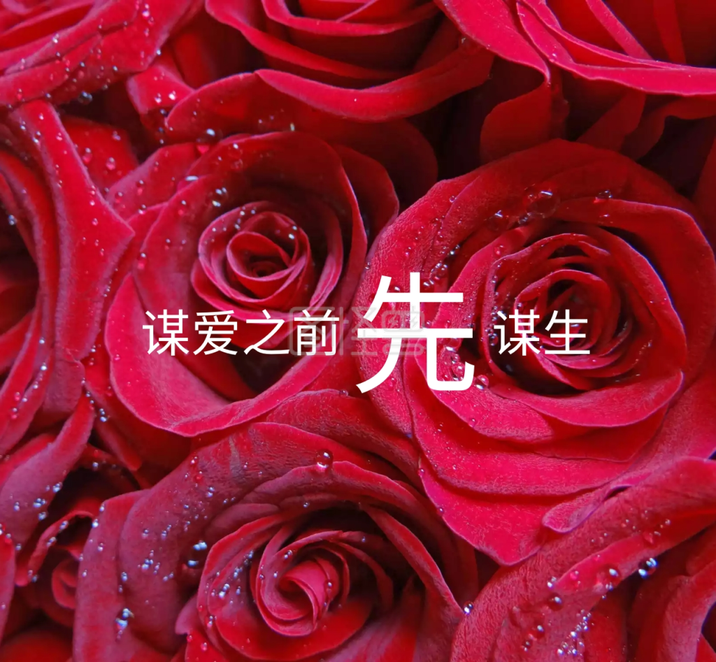 谋爱之前先谋生红色朋友圈封面
