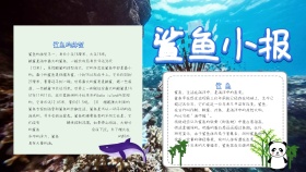 鲨鱼小报卡通蓝色手抄报