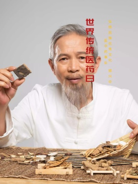 世界传统医药日中医手绘插画海报