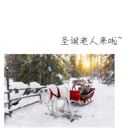 圣诞老人表情包1