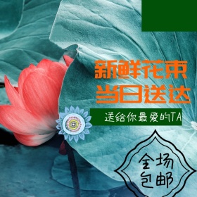 电商淘宝双十一鲜花直通车图同城送