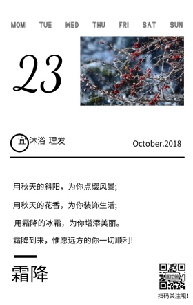 霜降雪霜白色文艺简约日签