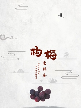中国风杨梅海报