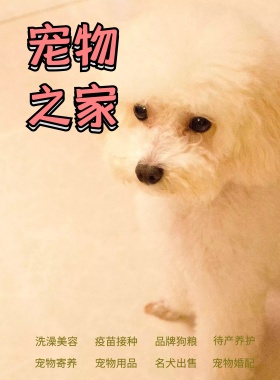 萌宠到家