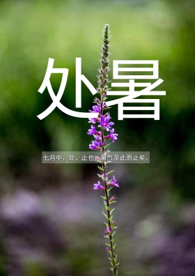 处暑手绘插画海报