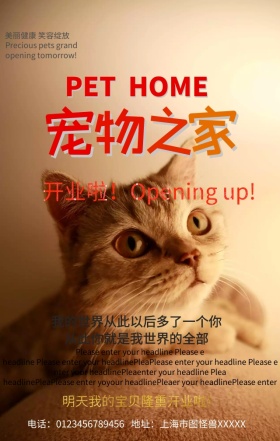 宠物之家手机营销海报