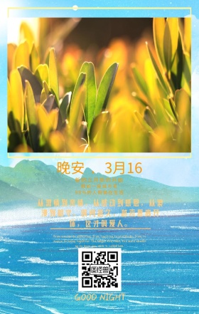鸡汤秋意晚安每日一签