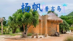 杨帆普吉岛公众号封面
