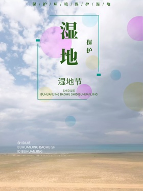 原创插画湿地节日海报设计