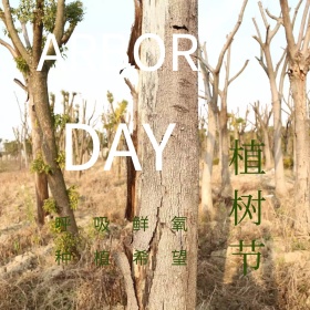 创意卡通植树节公众号正方形配图模板