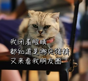 我闭着眼睛都知道是哪只猪精又来看我朋友圈