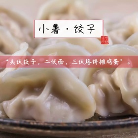 小暑饺子百度普及简约白色公众号配图