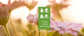春意盎然 生机勃勃 万物苏醒 花草树木抽嫩芽 春季春天你好公众号封面