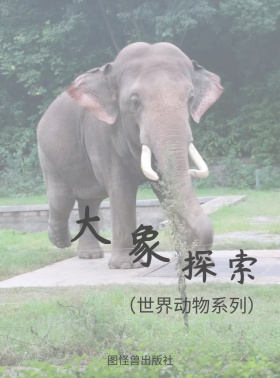 黄色手绘简约保护大象教育KINDLE封面